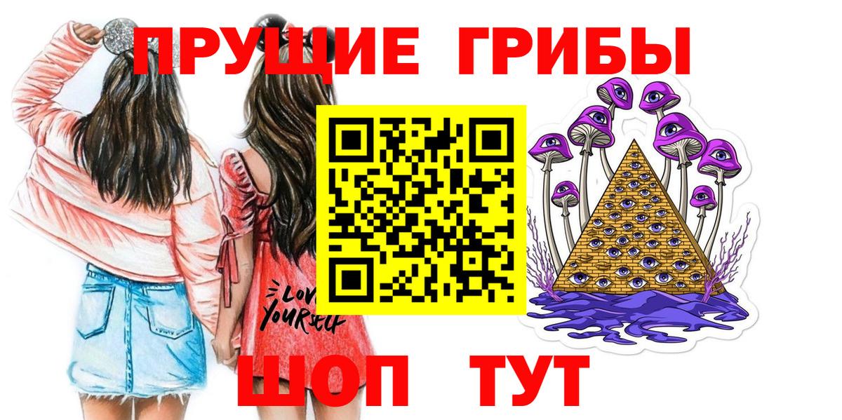 Псилоцибиновые грибы Psilocybe  Вход с VPN  Псилоцибиновые грибы GOLDEN TEACHER  Заринск 