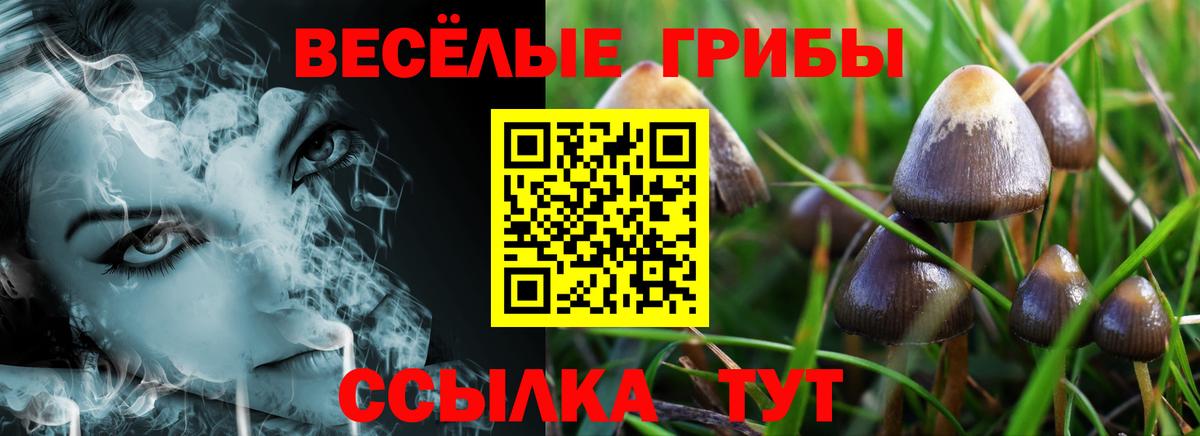 Псилоцибиновые грибы мухоморы Заринск